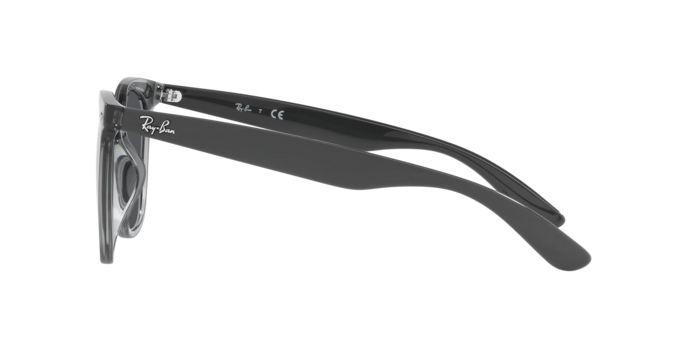 Ray-Ban Sunglasses RB4379D 659987