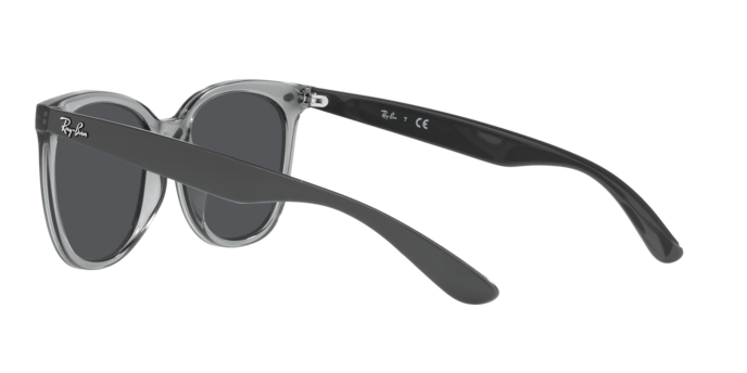 Ray-Ban Sunglasses RB4379D 659987