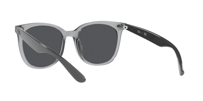 Ray-Ban Sunglasses RB4379D 659987