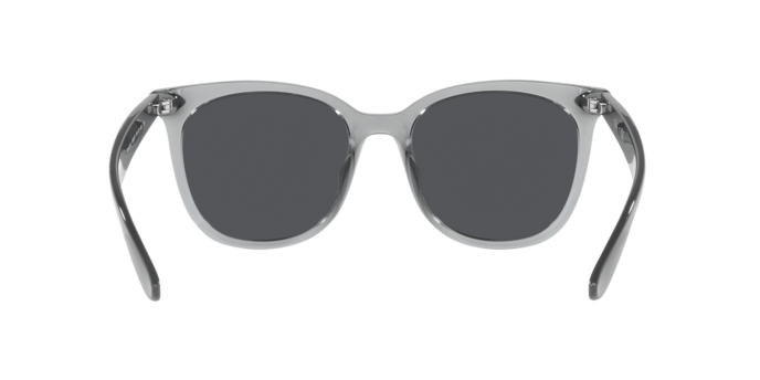 Ray-Ban Sunglasses RB4379D 659987