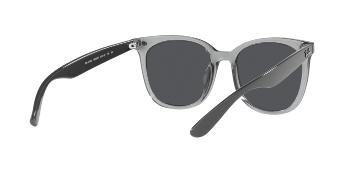 Ray-Ban Sunglasses RB4379D 659987