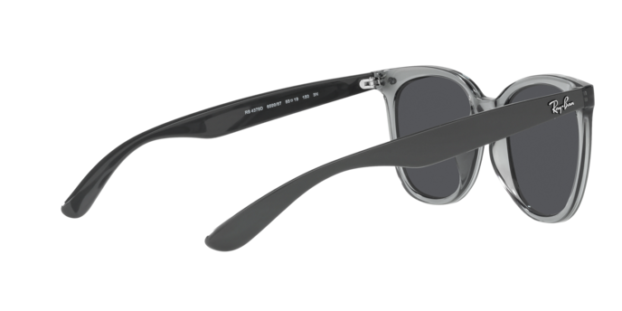 Ray-Ban Sunglasses RB4379D 659987