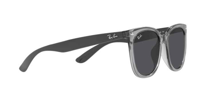 Ray-Ban Sunglasses RB4379D 659987