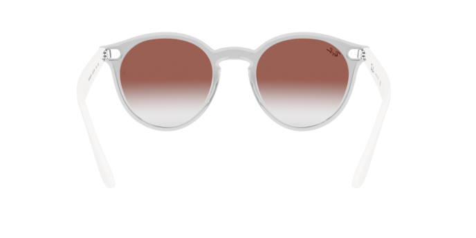 Ray-Ban Blaze Panthos Sunglasses RB4380N 6357V0