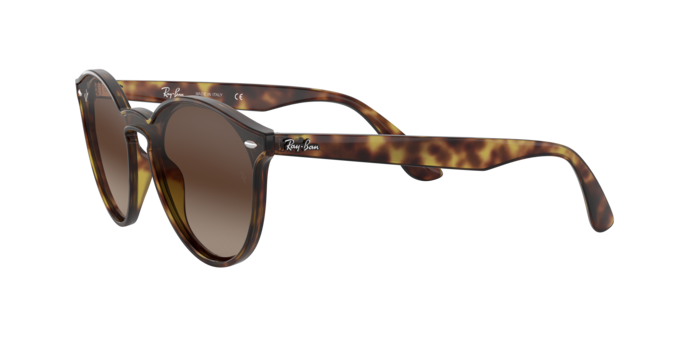 Ray-Ban Blaze Panthos Sunglasses RB4380N 710/13