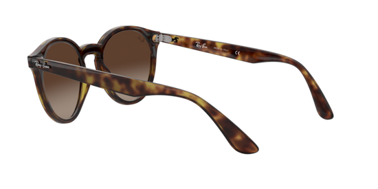 Ray-Ban Blaze Panthos Sunglasses RB4380N 710/13