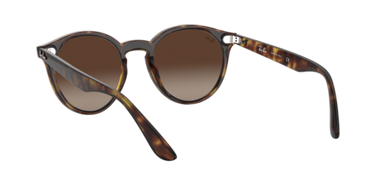 Ray-Ban Blaze Panthos Sunglasses RB4380N 710/13