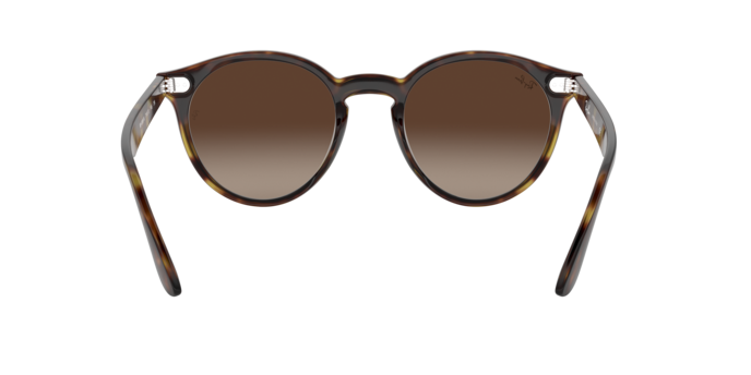 Ray-Ban Blaze Panthos Sunglasses RB4380N 710/13