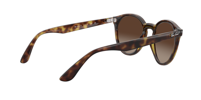 Ray-Ban Blaze Panthos Sunglasses RB4380N 710/13