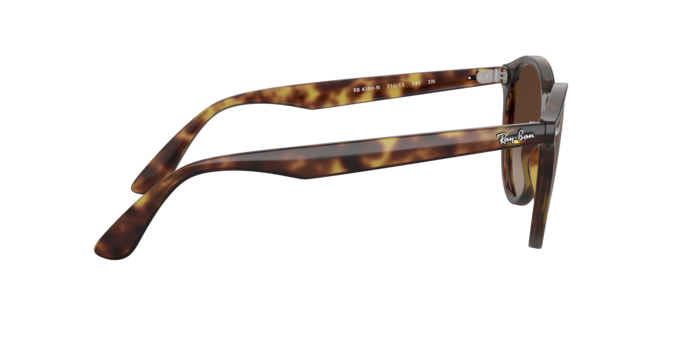 Ray-Ban Blaze Panthos Sunglasses RB4380N 710/13