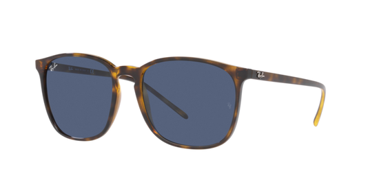 Ray-Ban Sunglasses RB4387 710/80