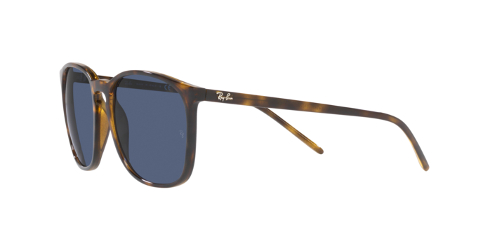 Ray-Ban Sunglasses RB4387 710/80