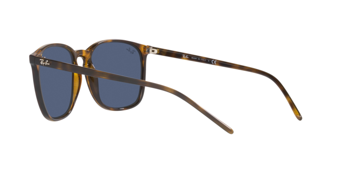 Ray-Ban Sunglasses RB4387 710/80