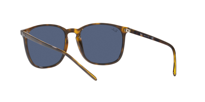 Ray-Ban Sunglasses RB4387 710/80