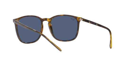 Ray-Ban Sunglasses RB4387 710/80