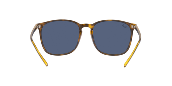 Ray-Ban Sunglasses RB4387 710/80