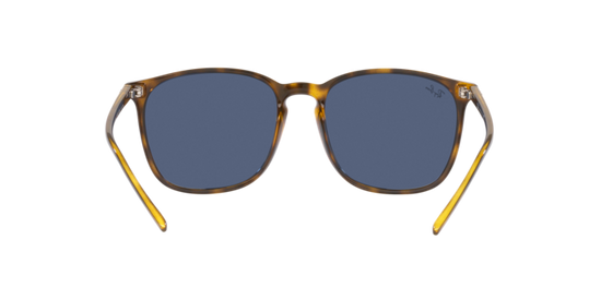 Ray-Ban Sunglasses RB4387 710/80