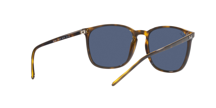 Ray-Ban Sunglasses RB4387 710/80