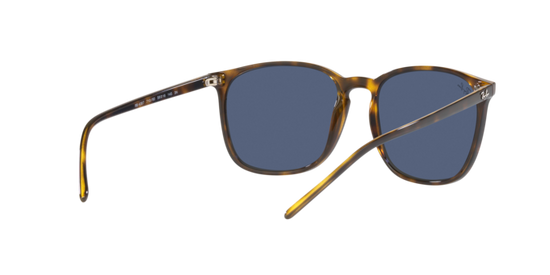 Ray-Ban Sunglasses RB4387 710/80