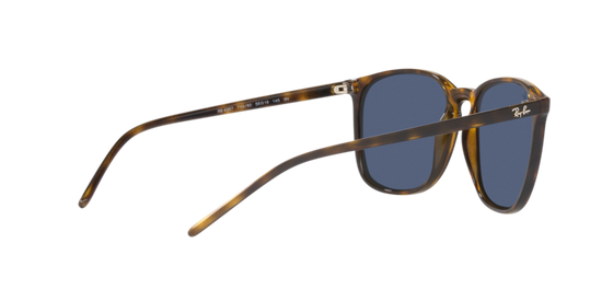 Ray-Ban Sunglasses RB4387 710/80