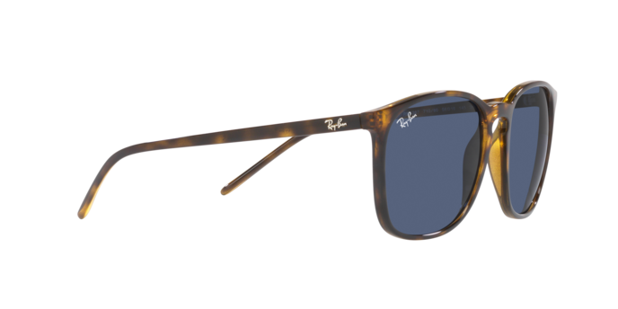 Ray-Ban Sunglasses RB4387 710/80