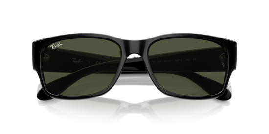 Ray-Ban Sunglasses RB4388 601/31