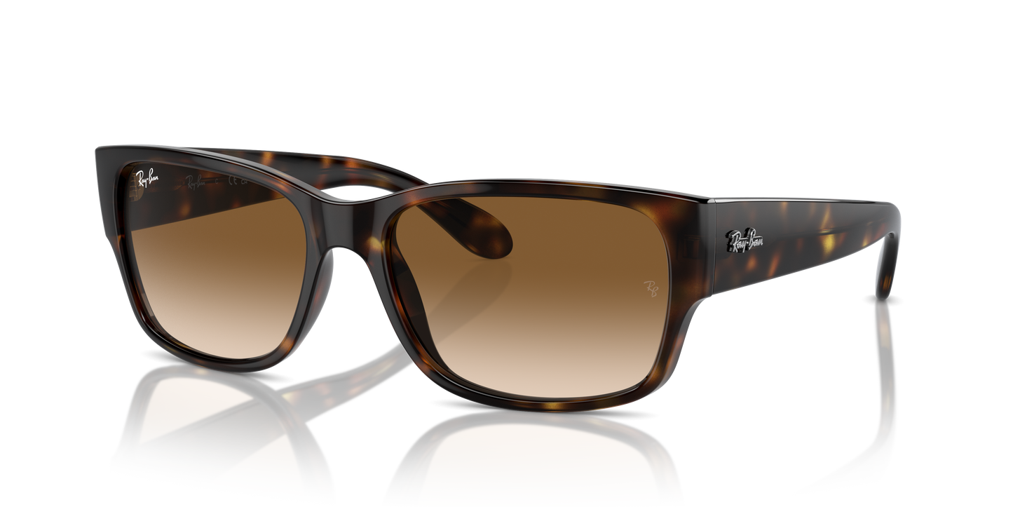 Ray-Ban Sunglasses RB4388 710/51