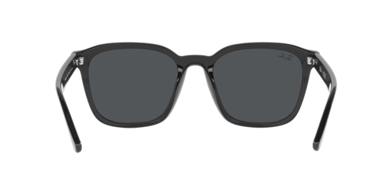 Ray-Ban Sunglasses RB4392D 601/87