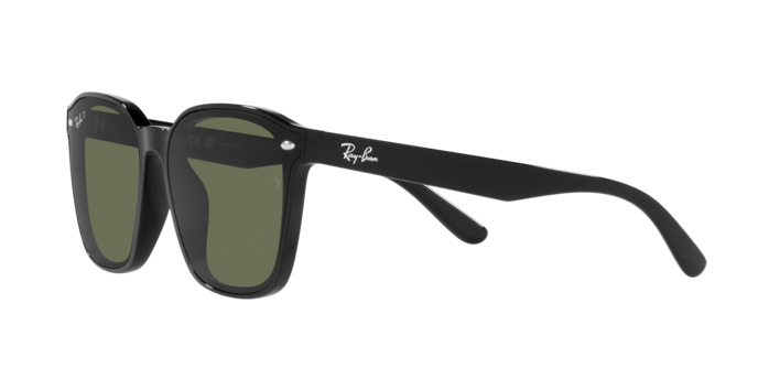 Ray-Ban Sunglasses RB4392D 601/9A