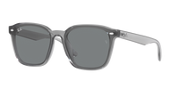 Ray-Ban RB4392D 645087