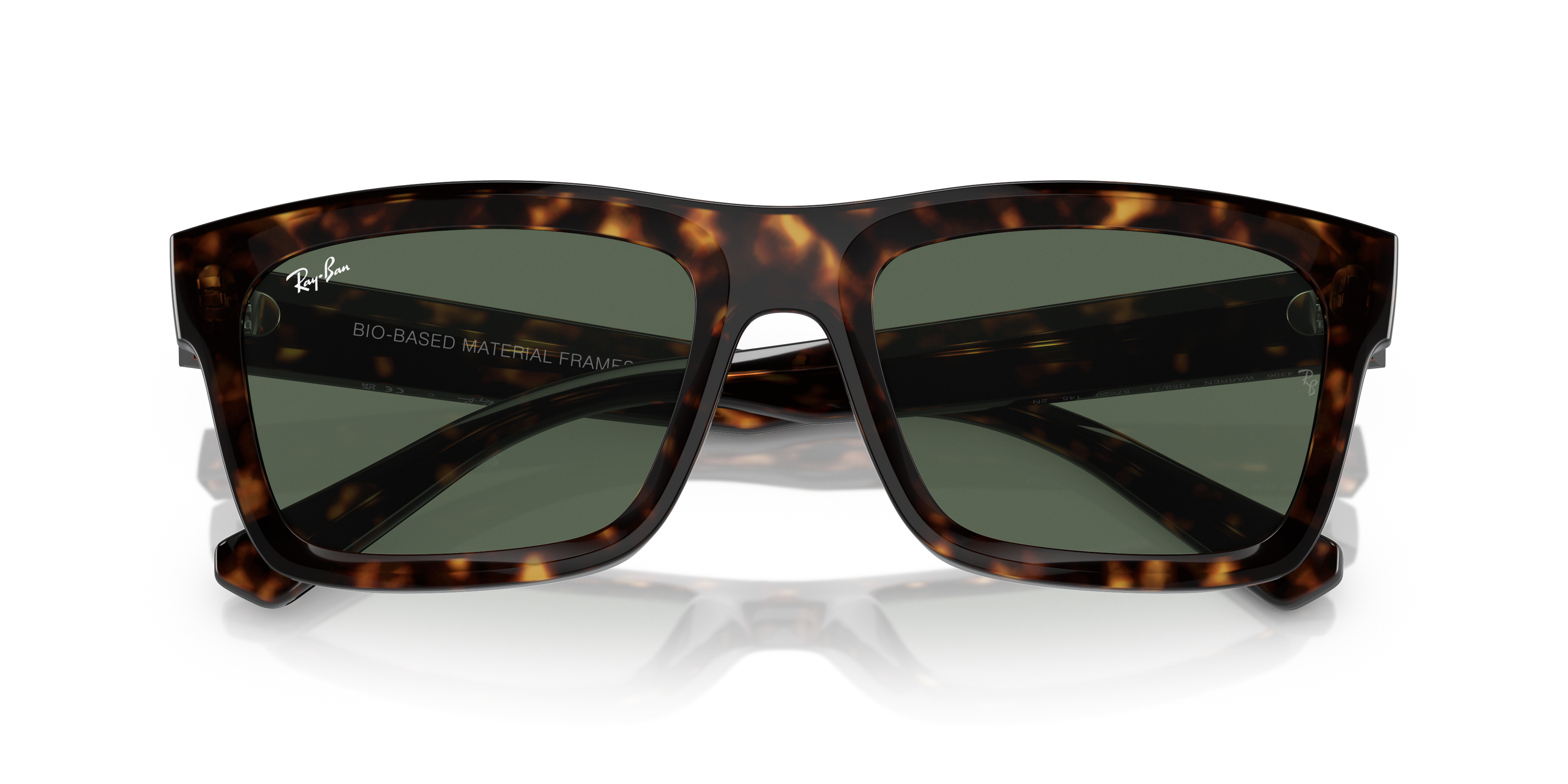 Ray-Ban Warren Sunglasses RB4396 135971