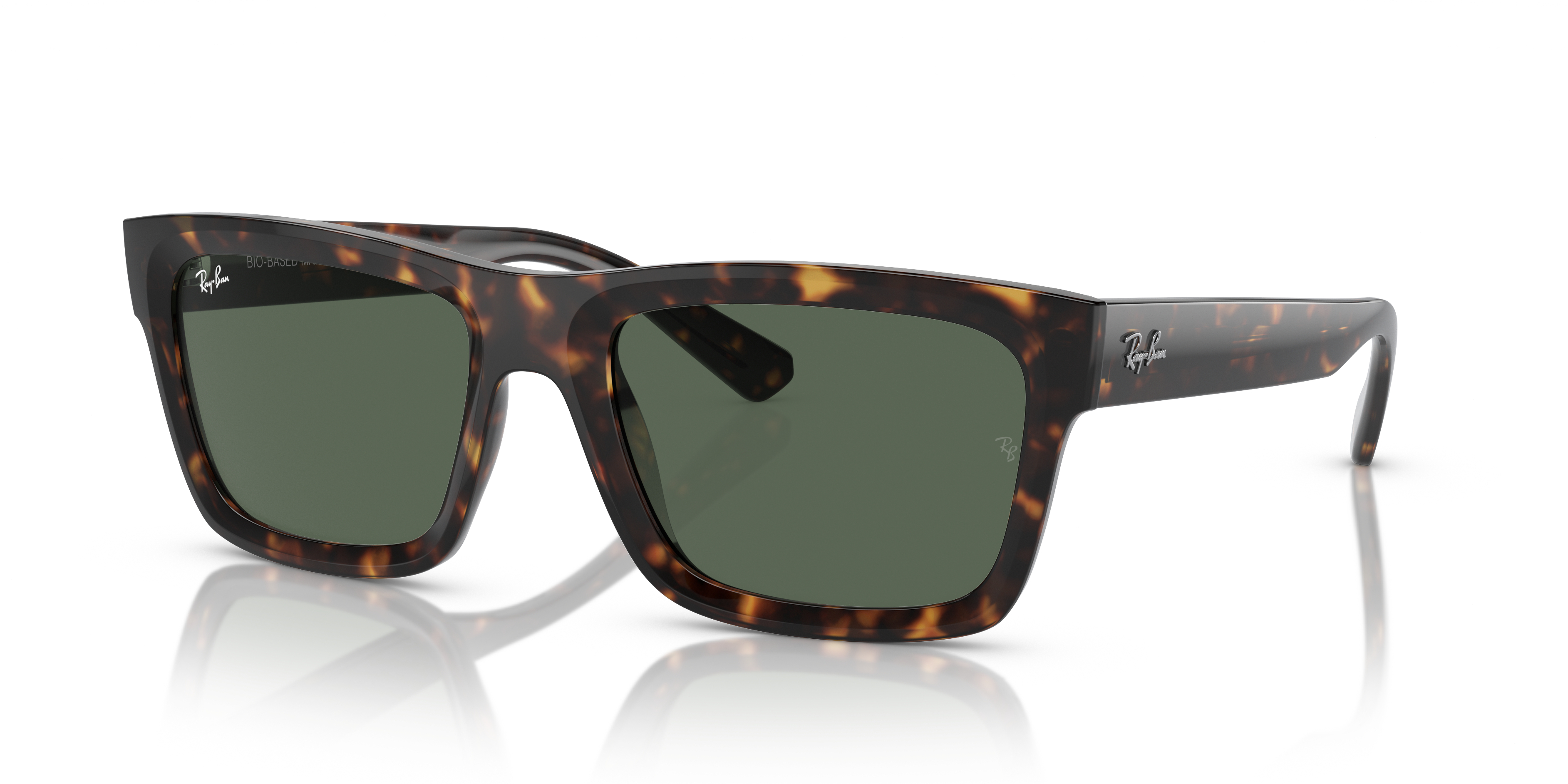 Ray-Ban Warren Sunglasses RB4396 135971