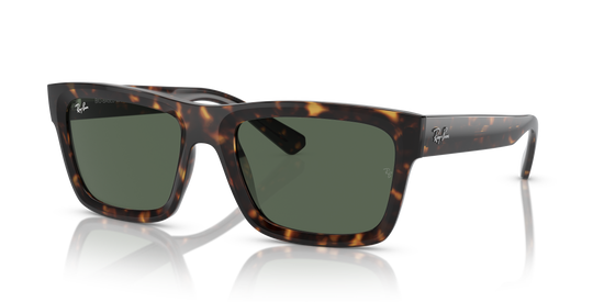 Ray-Ban Warren Sunglasses RB4396 135971