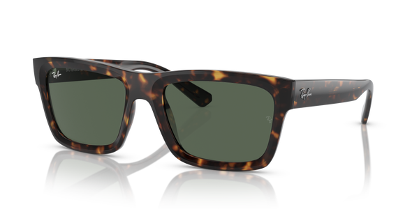 Ray-Ban Warren RB4396 135971