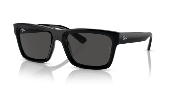 Ray-Ban Warren RB4396 667787