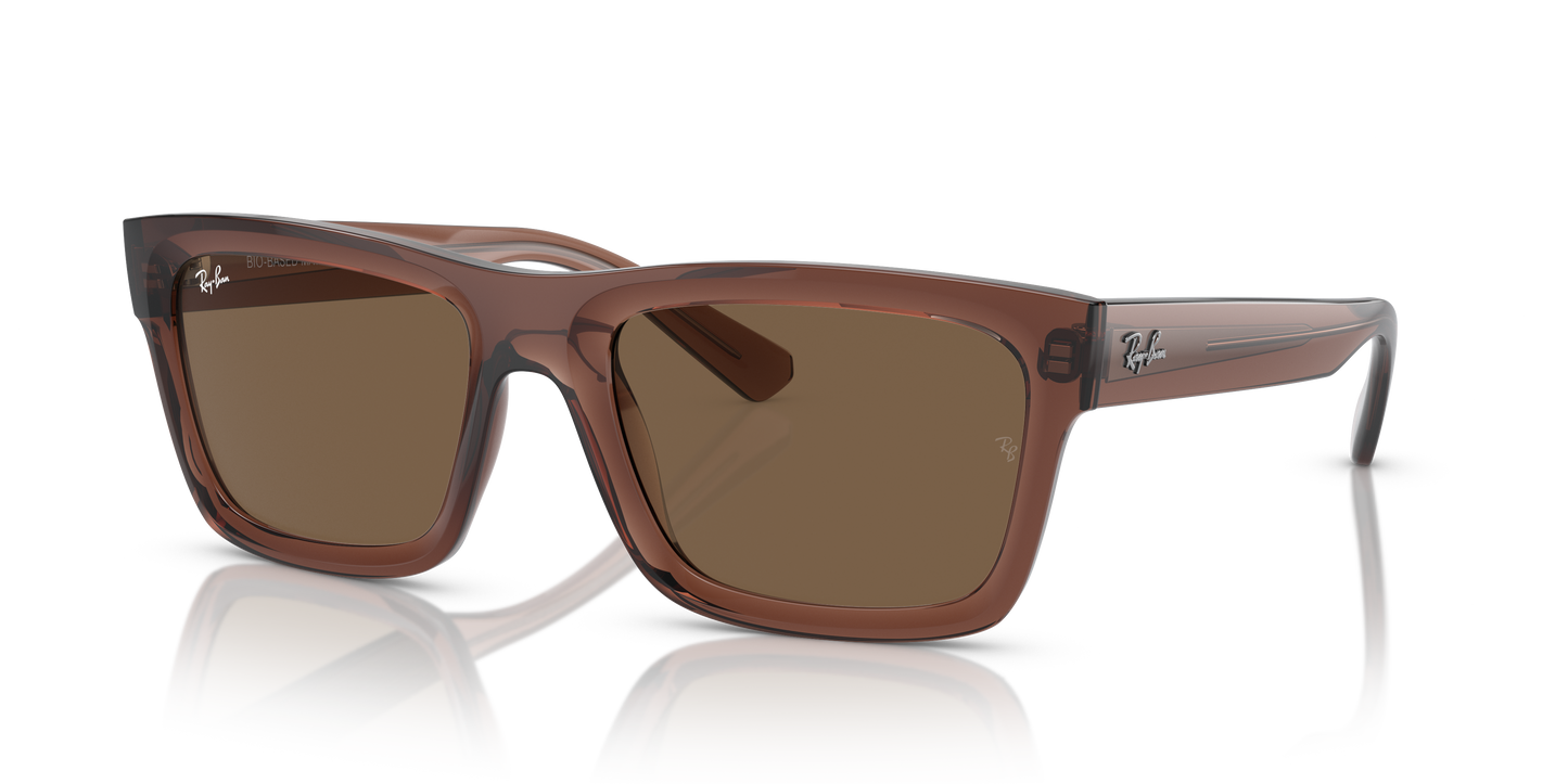 Ray-Ban Warren Sunglasses RB4396 667873