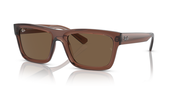 Ray-Ban Warren Sunglasses RB4396 667873