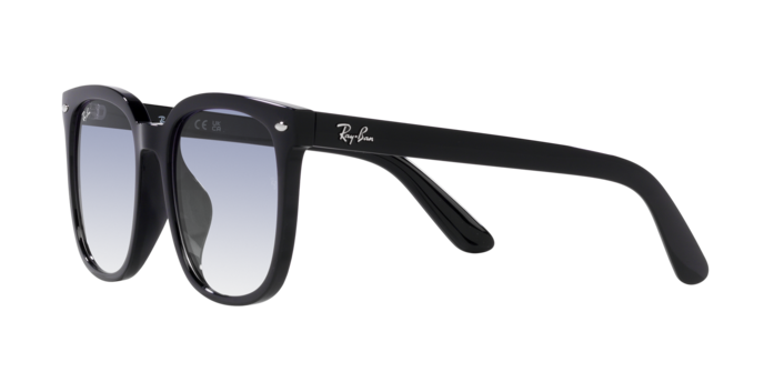 Ray-Ban Sunglasses RB4401D 601/19