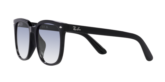 Ray-Ban Sunglasses RB4401D 601/19