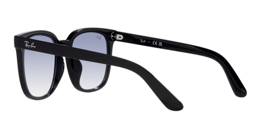 Ray-Ban Sunglasses RB4401D 601/19