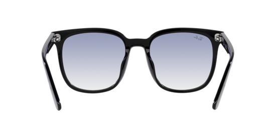 Ray-Ban Sunglasses RB4401D 601/19