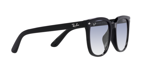 Ray-Ban Sunglasses RB4401D 601/19