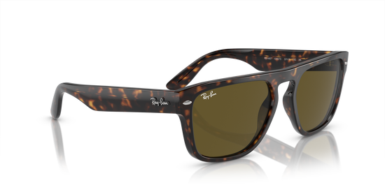 Ray-Ban Sunglasses RB4407 135973