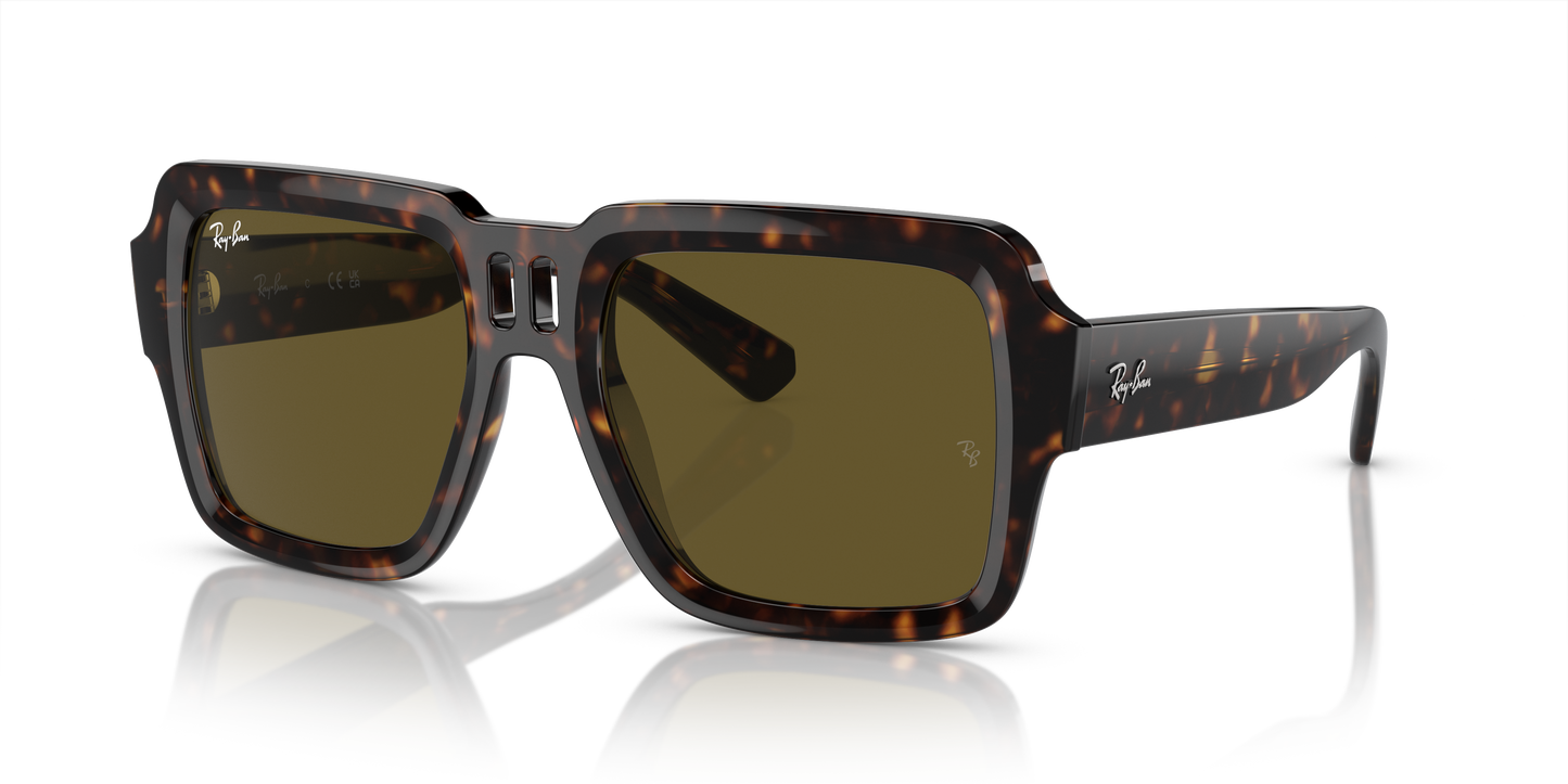 Ray-Ban Magellan Sunglasses RB4408 135973