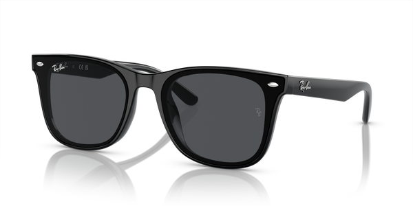 Ray-Ban RB4420 601/87