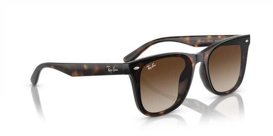 Ray-Ban Sunglasses RB4420 710/13