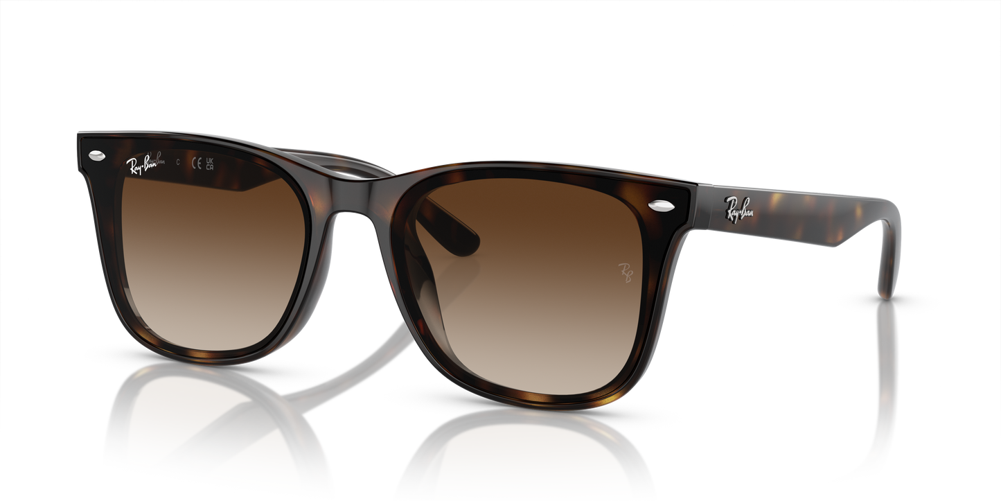 Ray-Ban Sunglasses RB4420 710/13