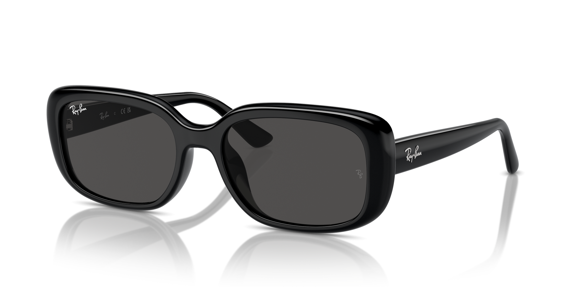 Ray-Ban Sunglasses RB4421D 667787