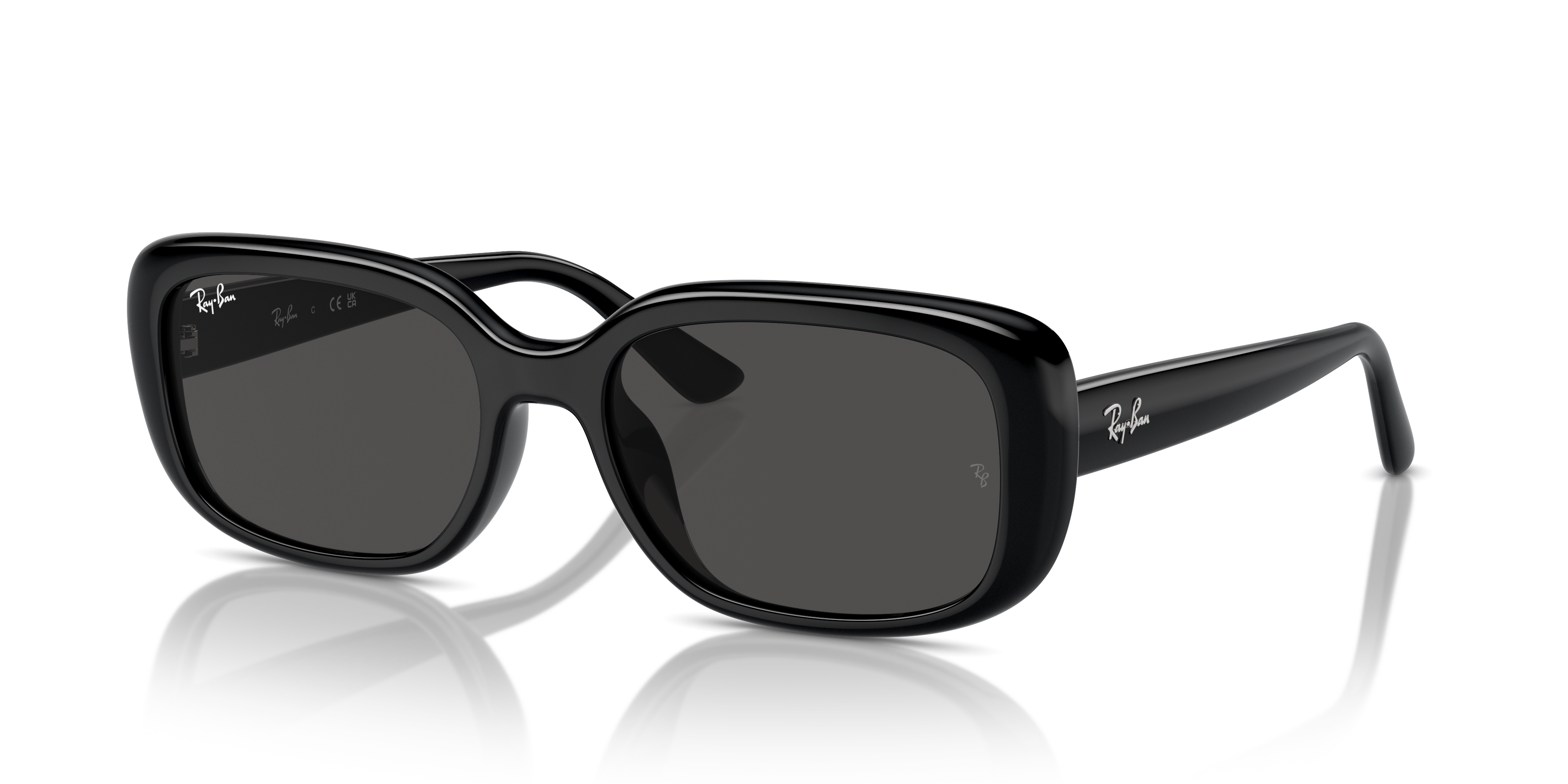 Ray-Ban Sunglasses RB4421D 667787