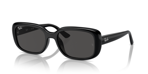 Ray-Ban RB4421D 667787